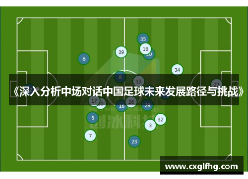 《深入分析中场对话中国足球未来发展路径与挑战》