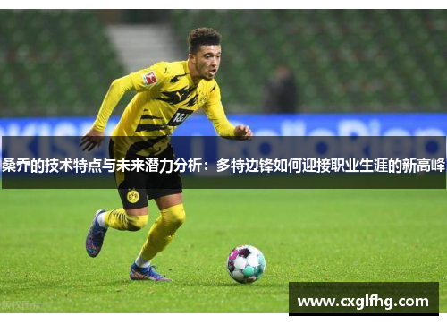 桑乔的技术特点与未来潜力分析：多特边锋如何迎接职业生涯的新高峰