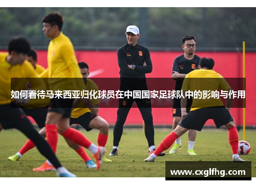如何看待马来西亚归化球员在中国国家足球队中的影响与作用